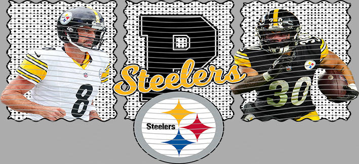 16oz team-NFL 3595